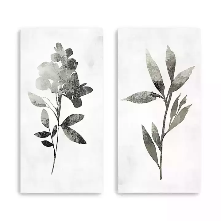 Outlet A Shadow of a Flower 2-pc. Canvas Art Set Canvas Art