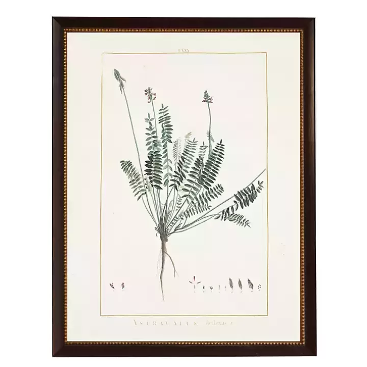 Discount Astragalus Greenery Black Beaded Framed Art Print Framed Art