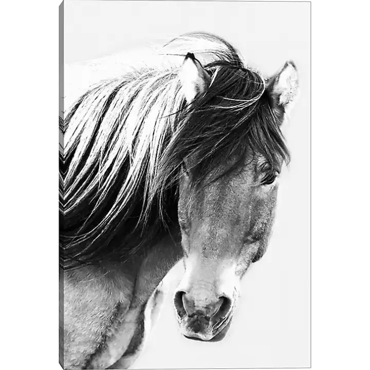 Cheap At First Glance Canvas Art Print Canvas Art