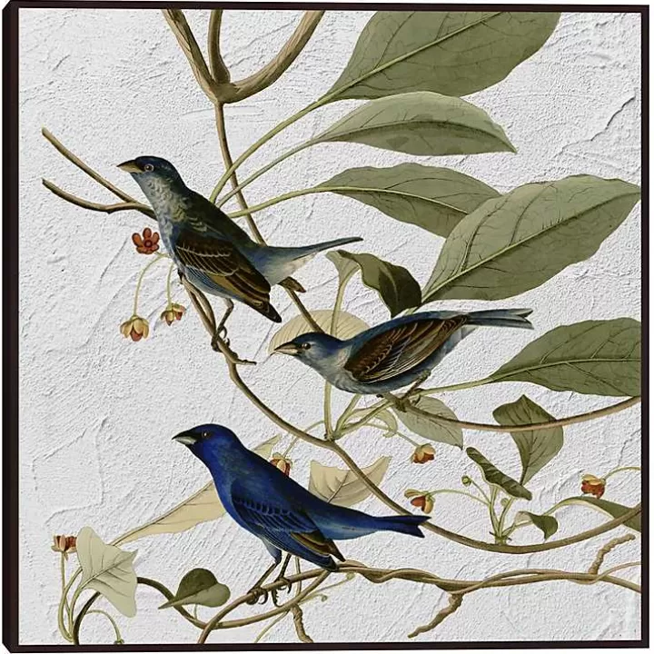 Outlet Audubon Indigo Bird Framed Canvas Art Print Canvas Art