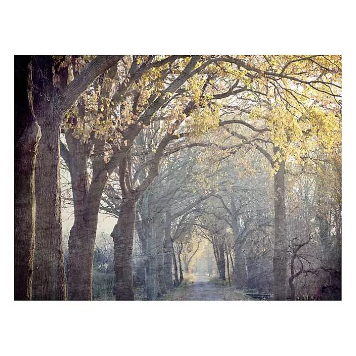 Online Avenue Of Trees Canvas Art Print Canvas Art