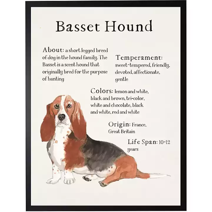 Cheap Basset Hound Facts Framed Wall Plaque Wall Quotes & Signs