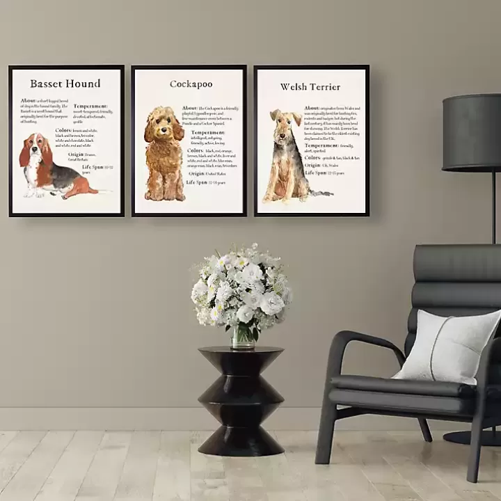 Cheap Basset Hound Facts Framed Wall Plaque Wall Quotes & Signs