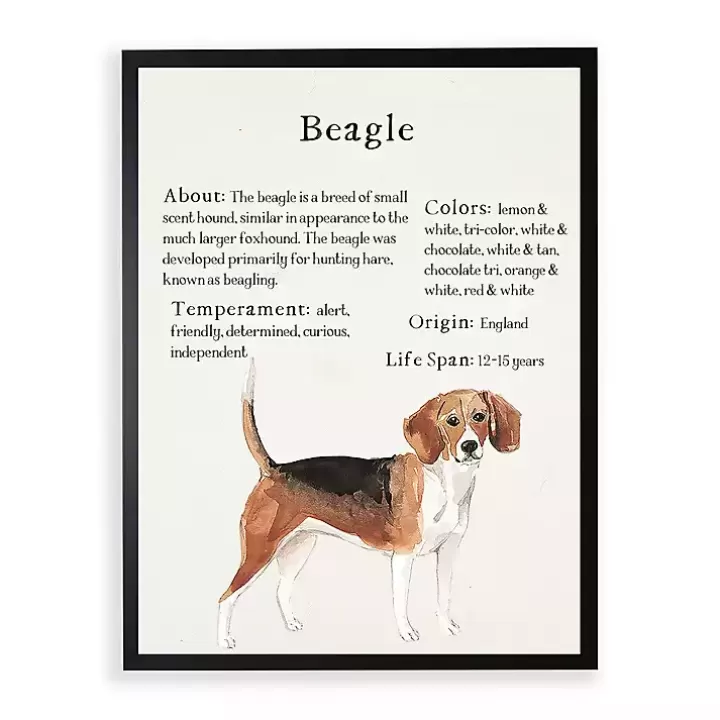 Cheap Beagle Facts Framed Wall Plaque Wall Quotes & Signs