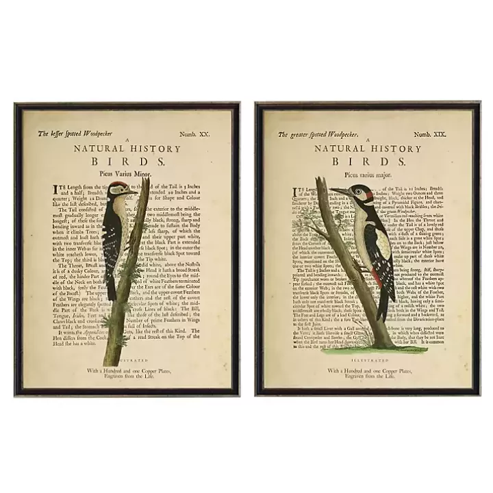 Online Birds Diagram II Framed Art Prints, Set of 2 Framed Art