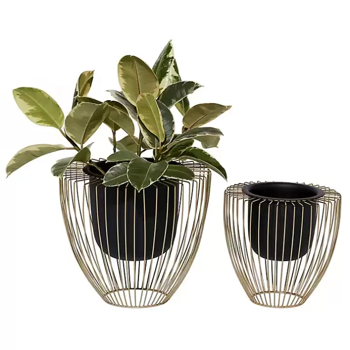 Shop Black and Gold Open Frame Planters, Set of 2 Planters