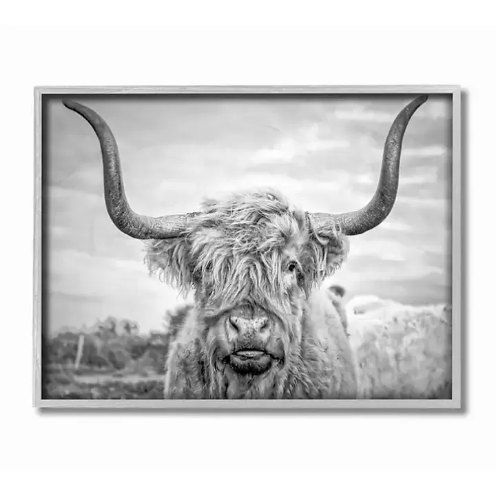 Outlet Black and White Framed Highland Cow Photograph Framed Art