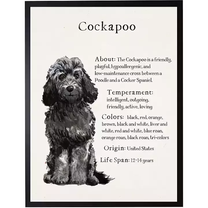 Cheap Black Cockapoo Facts Framed Wall Plaque Wall Quotes & Signs