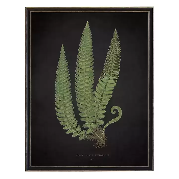 Shop Black Fern I Framed Art Print Framed Art