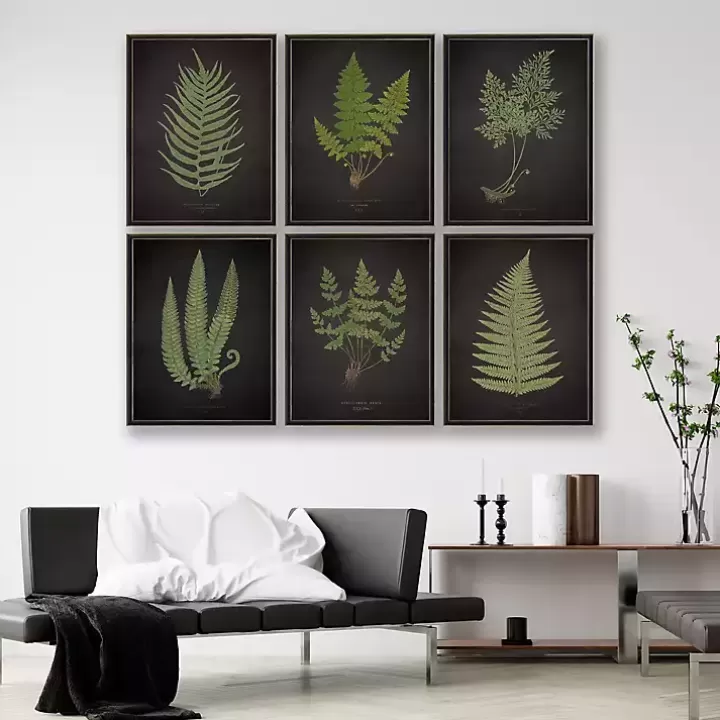 Shop Black Fern I Framed Art Print Framed Art