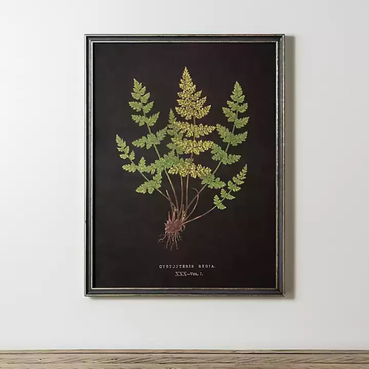 Fashion Black Fern V Framed Art Print Framed Art