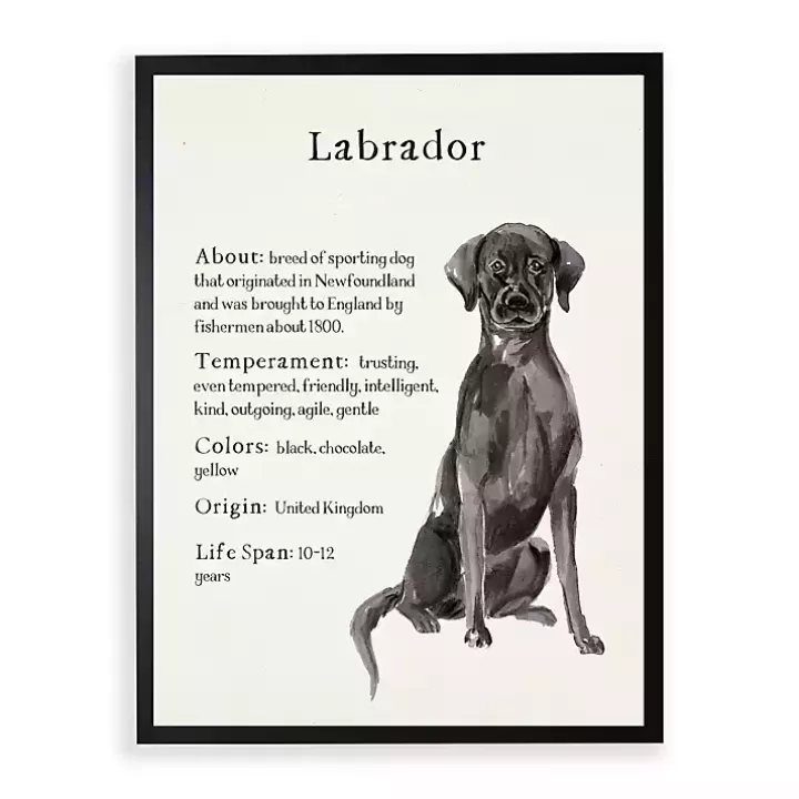 Clearance Black Lab Facts Framed Wall Plaque Wall Quotes & Signs