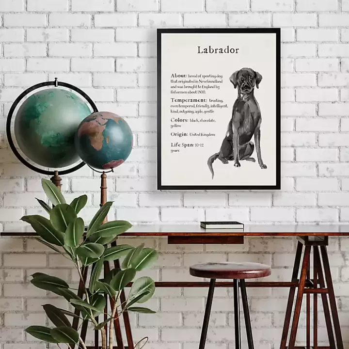Clearance Black Lab Facts Framed Wall Plaque Wall Quotes & Signs
