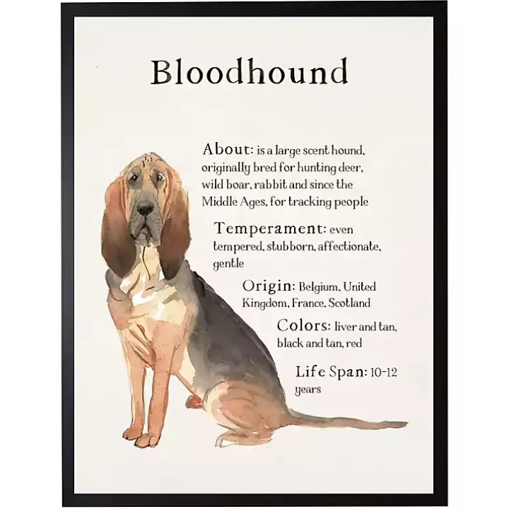 New Bloodhound Facts Framed Wall Plaque Wall Quotes & Signs