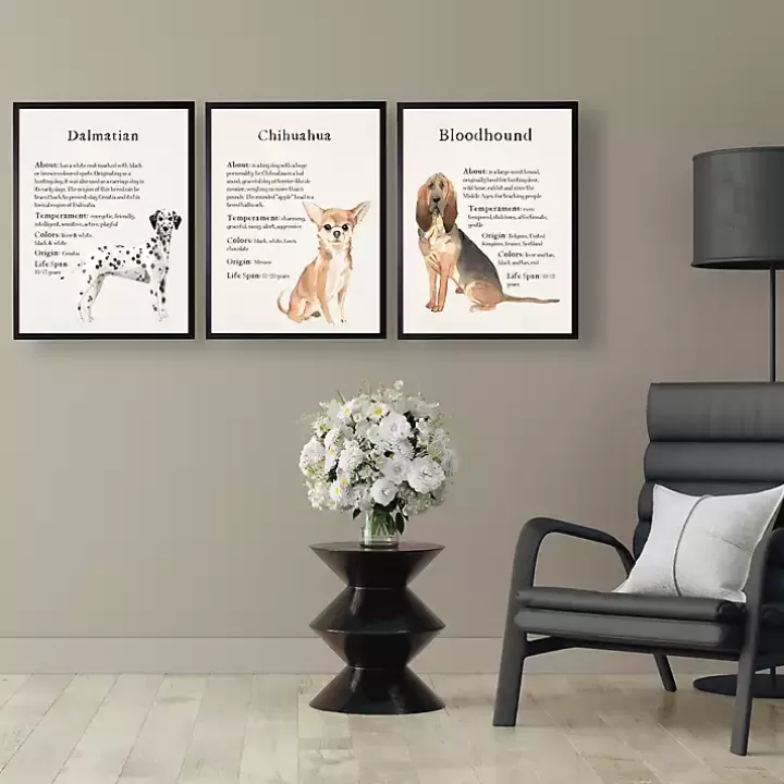 New Bloodhound Facts Framed Wall Plaque Wall Quotes & Signs