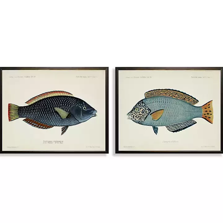 Shop Blue Fish Framed Art Prints, Set of 2 Wall Quotes & Signs