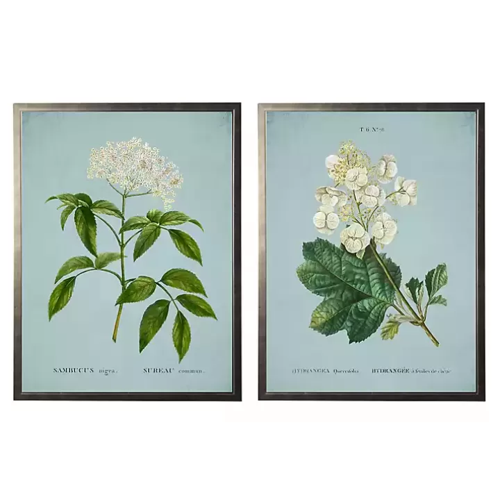 Flash Sale Blue Floral Diagram I Framed Art Prints, Set of 2 Framed Art