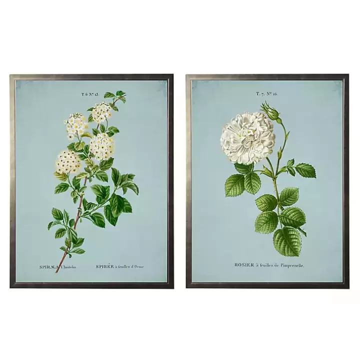 Flash Sale Blue Floral Diagram II Framed Art Prints, Set of 2 Framed Art