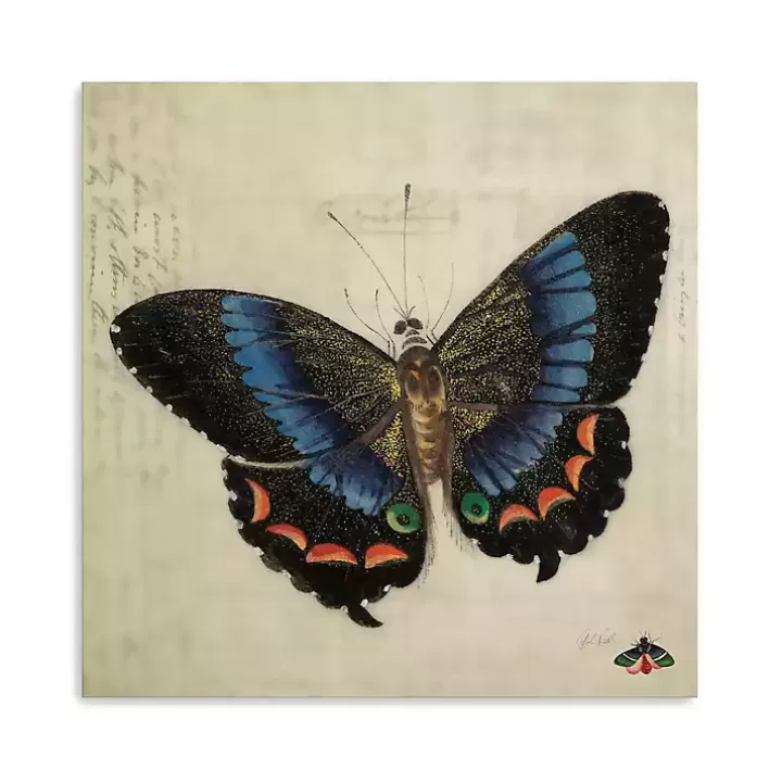 Clearance Blue Vintage Butterfly Canvas Art Print Canvas Art
