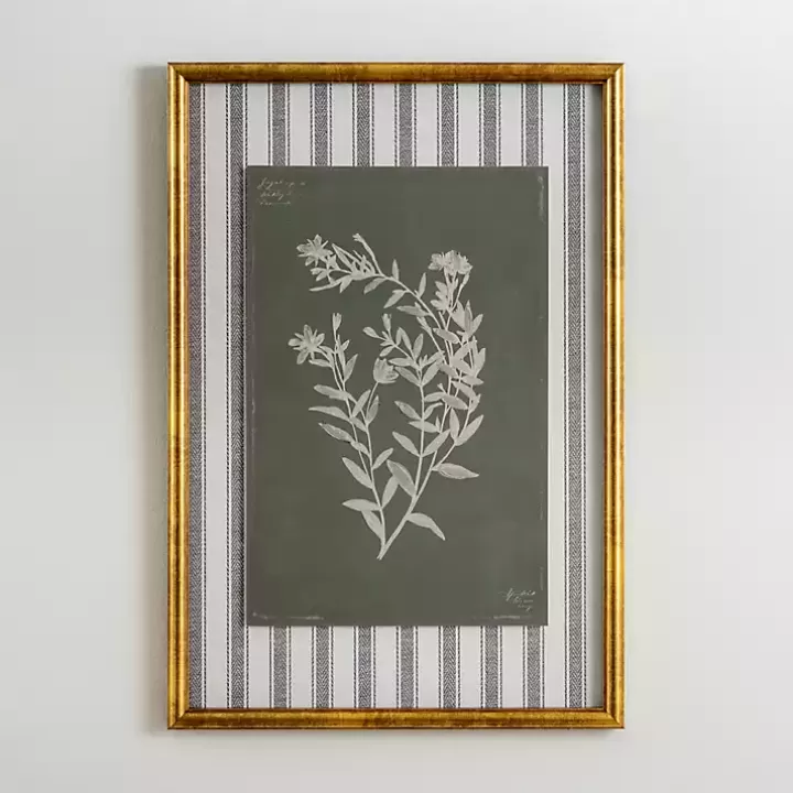 Best Sale Botanical Stripes II Framed Art Print Framed Art