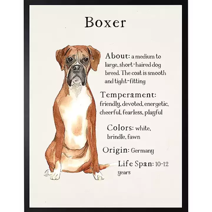 Outlet Boxer Facts Framed Wall Plaque Wall Quotes & Signs