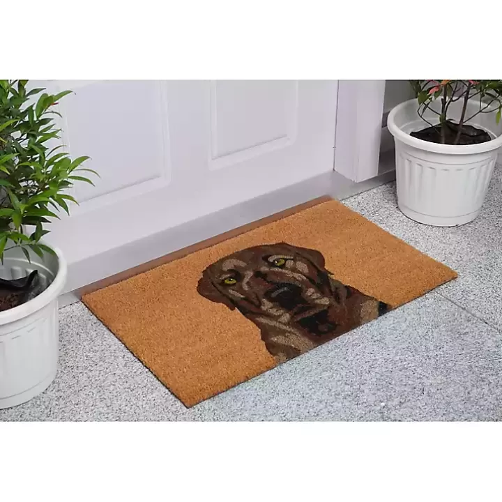 Clearance Labrador Doormat Doormats