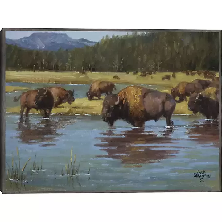 Online Buffalo Crossing Framed Canvas Art Print Canvas Art