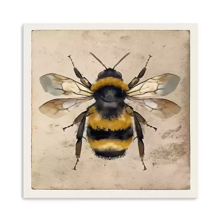 Clearance Bumblebee Anatomy Canvas Art Print Canvas Art