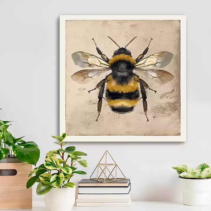 Clearance Bumblebee Anatomy Canvas Art Print Canvas Art