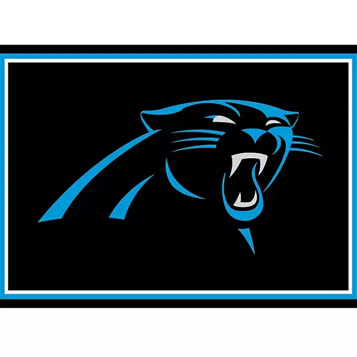 Discount Carolina Panthers Area Rug, 3x4 Area Rugs