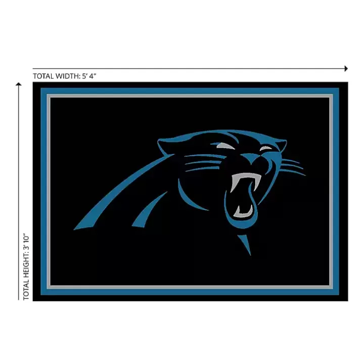 Shop Carolina Panthers Area Rug, 4x6 Area Rugs