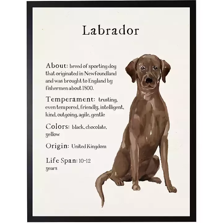 Discount Chocolate Labrador Facts Framed Wall Plaque Wall Quotes & Signs