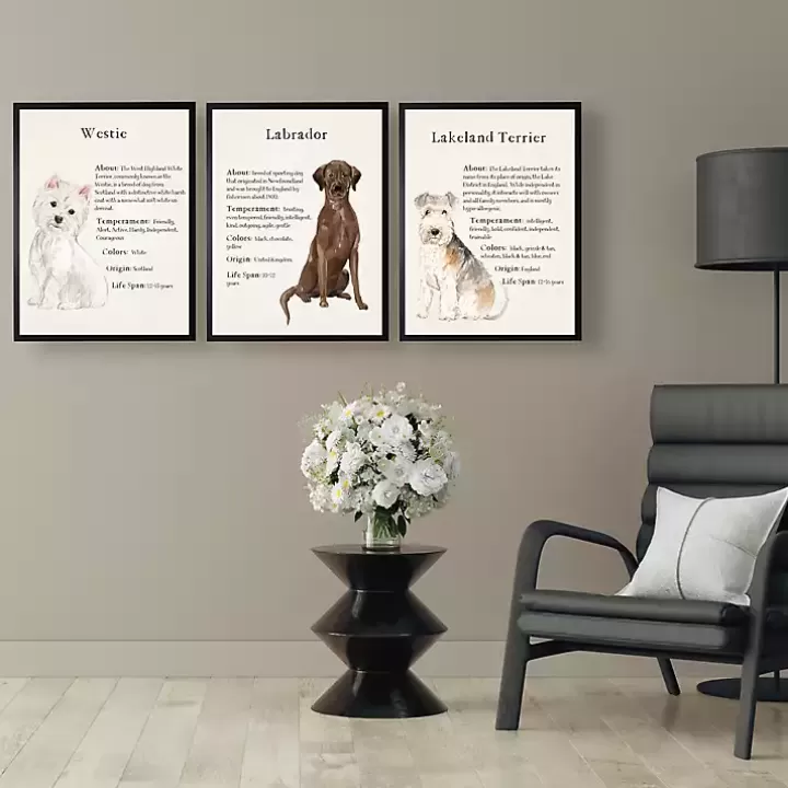 Discount Chocolate Labrador Facts Framed Wall Plaque Wall Quotes & Signs