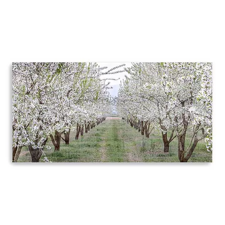 Best Countryside Path Canvas Art Print Canvas Art