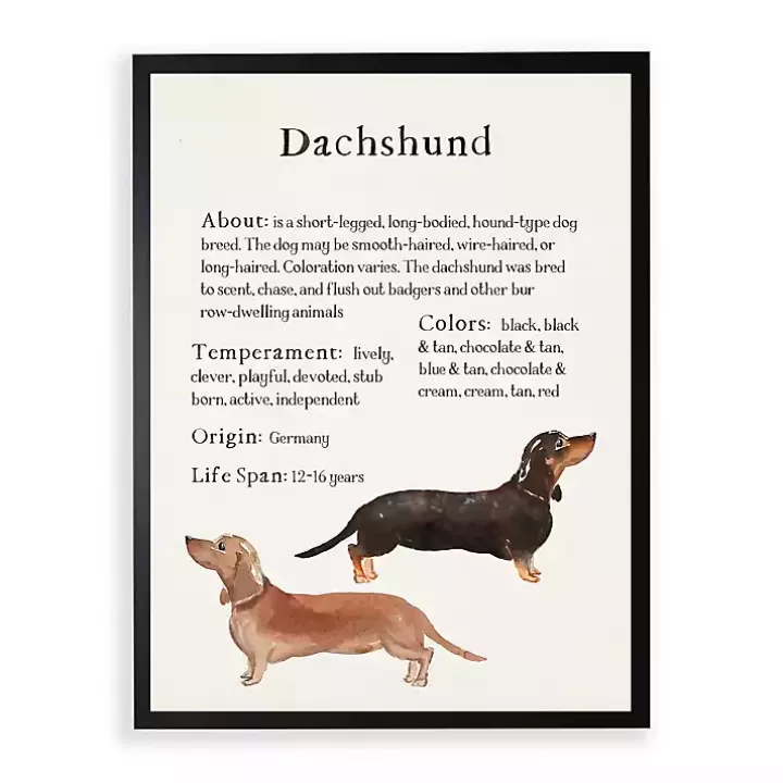 Fashion Dachshund Facts Framed Wall Plaque Wall Quotes & Signs