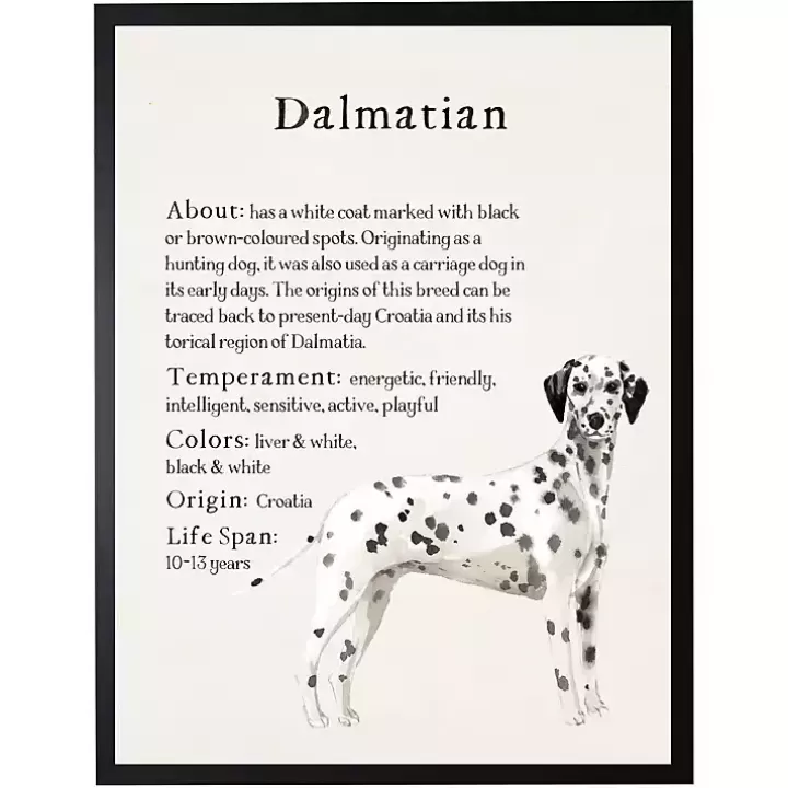 Outlet Dalmation Facts Framed Wall Plaque Wall Quotes & Signs