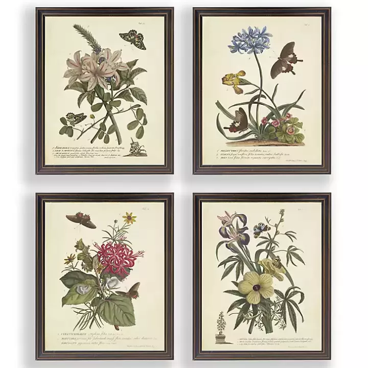 Hot Day Butterfly Blooms Framed Art Prints, Set of 4 Framed Art