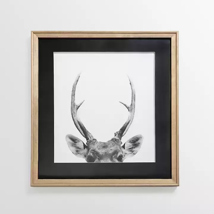 Sale Deer Antlers Framed Art Print Framed Art