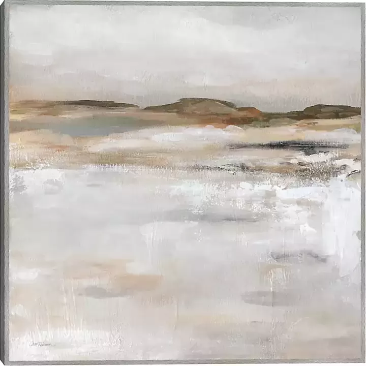 Outlet Desert Floor Framed Canvas Art Print Canvas Art
