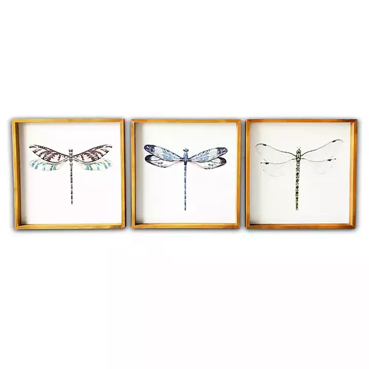 Clearance Dragonfly Framed Art Prints, Set of 3 Framed Art