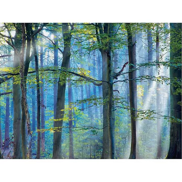 Flash Sale Enchanted Forest Canvas Print by Lars Van De Goor Canvas Art