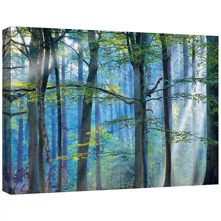 Flash Sale Enchanted Forest Canvas Print by Lars Van De Goor Canvas Art