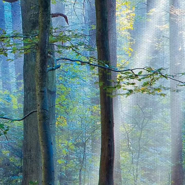 Flash Sale Enchanted Forest Canvas Print by Lars Van De Goor Canvas Art