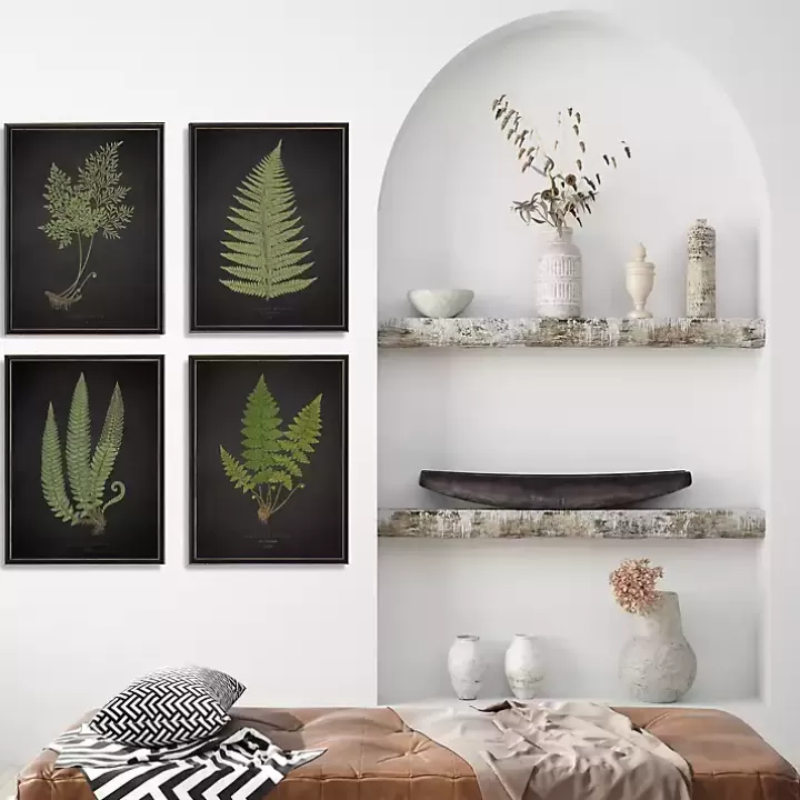 New Fern Framed Art Prints, Set of 4 Framed Art