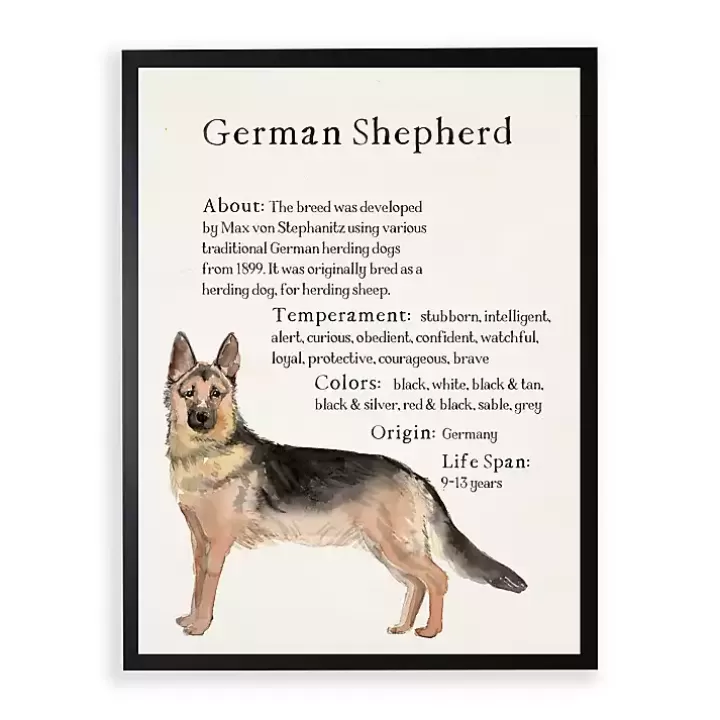 Store German Shepherd Facts Framed Wall Plaque Wall Quotes & Signs