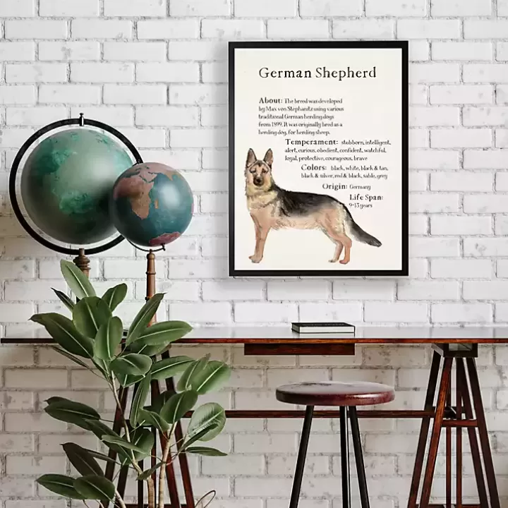 Store German Shepherd Facts Framed Wall Plaque Wall Quotes & Signs