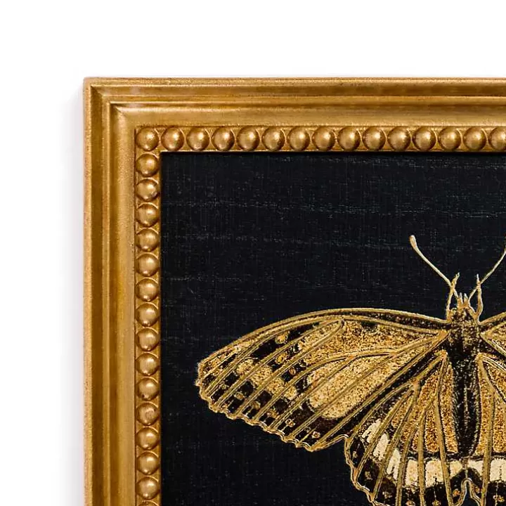 Outlet Gold Moth Framed Art Print Framed Art