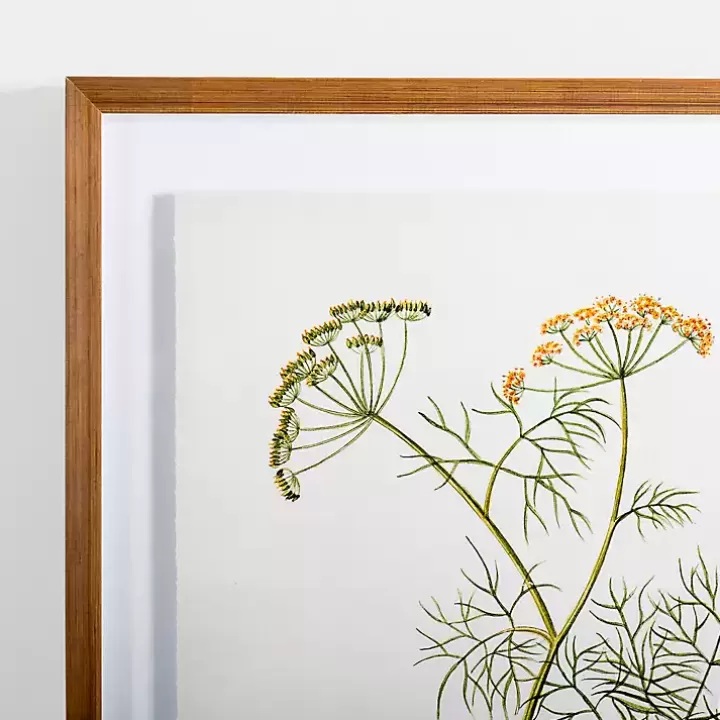 Clearance Golden Leaves Herbs Dill Framed Art Print Framed Art