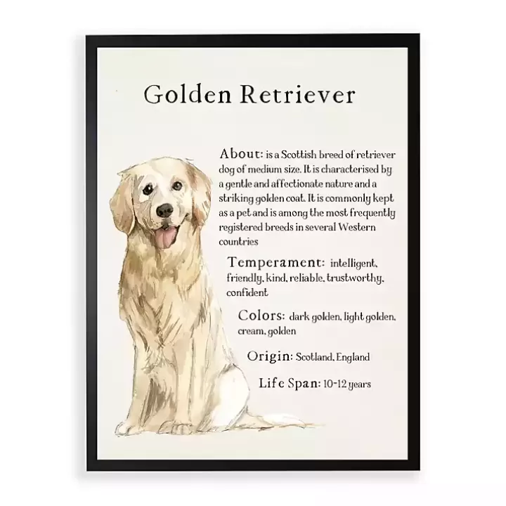 Store Golden Retriever Boxer Facts Framed Wall Plaque Wall Quotes & Signs