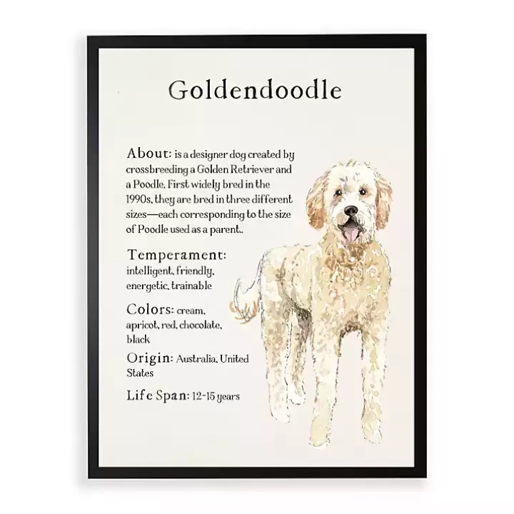 Outlet Goldendoodle Facts Framed Wall Plaque Wall Quotes & Signs